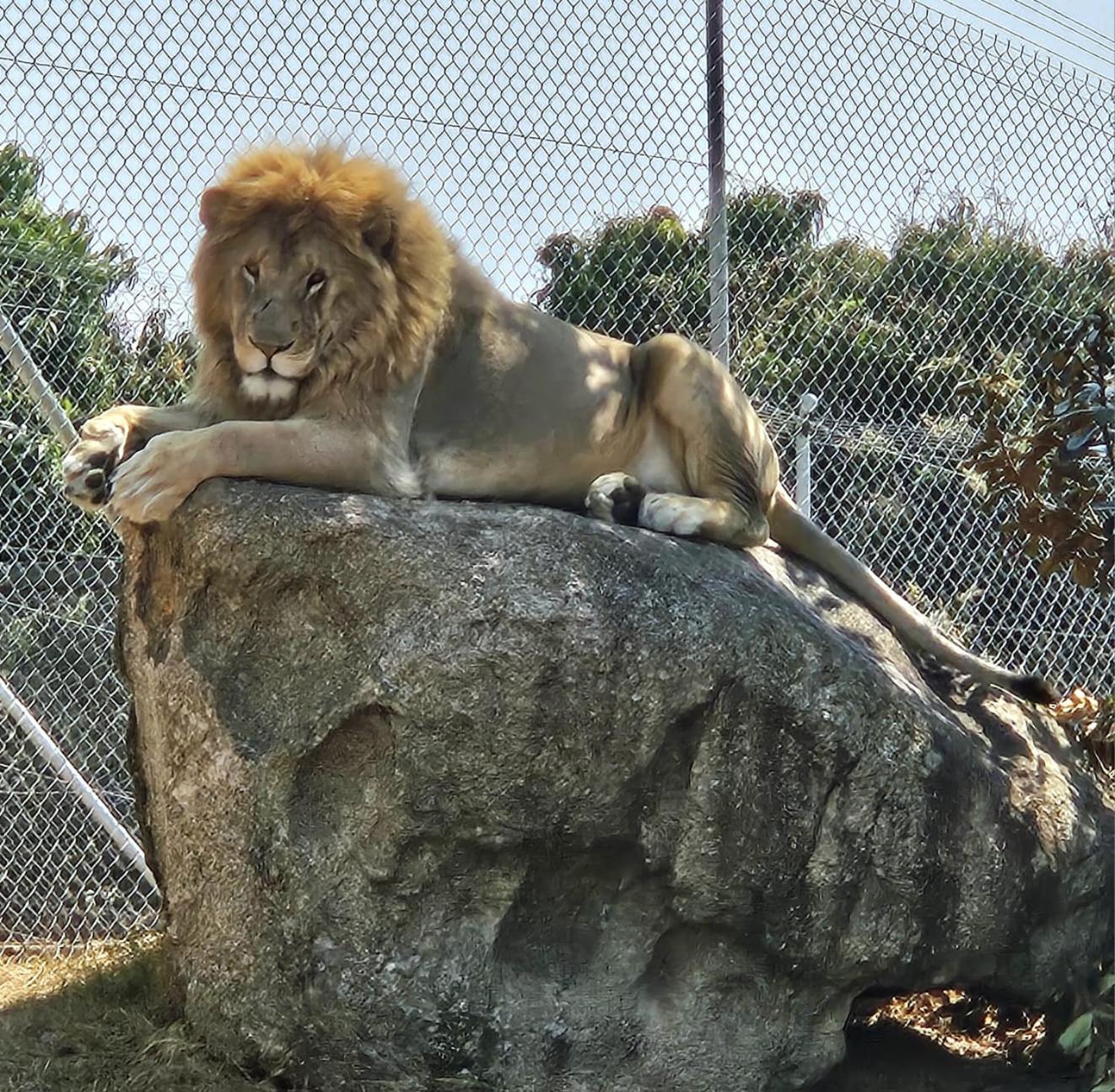 Pumbaa Wildlife Park & Accommodation 内尔斯普雷特 外观 照片
